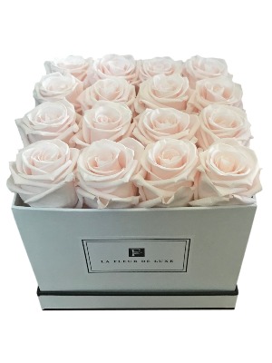 Baby Pink Roses That Last a Year in a Medium Square White Box