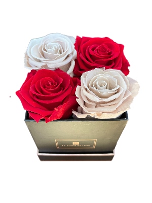 Red & Blush Pink Roses in a X-Small Square White Box Arrangement