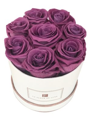 Grape Lasting Roses That Last a Year in a Small Round Box