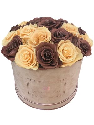 Pattern Caffe Latte Roses That Last a Year in a Suede Round Box