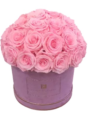Dome-Shaped Long Lasting Rose Arrangement in a Medium Suede Box