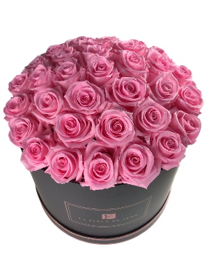 Dome-Shaped Pink Roses in a Large Round Black Box