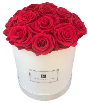 Red Roses Arrangement in a Medium Round White Box