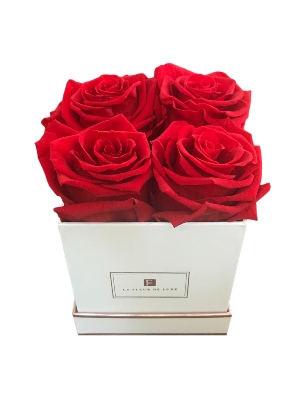 Red Roses in a X-Small Square White Box