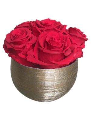 Red Year Long Rose Bouquet in a Etched Gold Bowl