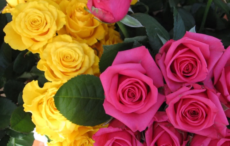 Pink and Yellow Roses Bouquet